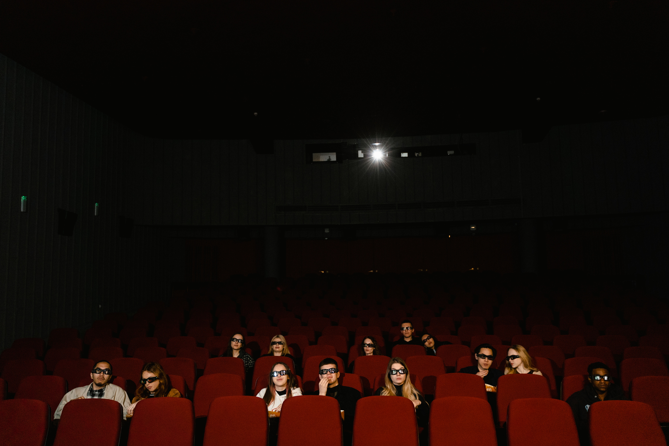 Audience in a Movie Theater